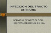 Infecciones Urinarias Y Tuberculosis Renal
