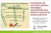 Los costes fijos en la empresa: la energía - Confederación Regional de Empresarios de Aragón -  J M Yusta