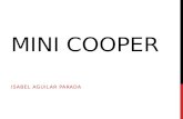 Minicooper elmer
