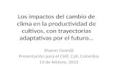 Impactos cambio clima_en_productividad_cultivos