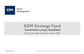 EDM Strategy (RV Europa)
