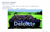 Presentacion Deloitte
