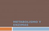 16 metabolismo y enzimas