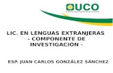 Investigacion en la licenciatura en lenguas extranjeras   uco sesion docentes licenciatura - jan 2013