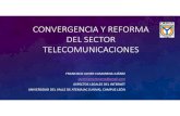 Convergencia y reforma del sector de telecomunicaciones