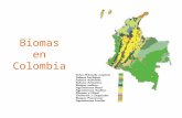Biomas de colombia