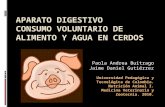 Sistema digestivo de cerdos y c.v.