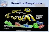 Genética bioquímica emc1 2005