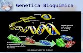 Genética bioquímica
