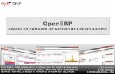 OpenERP model Spanish