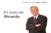Efecto Open Erp /Open ERP Effect Spanish