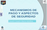 Tema V. MECANISMOS DE PAGO Y ASPECTOS DE SEGURIDAD