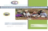 Aplicación de la metodologia de sistemas blandos a la pobreza en el distrito de paucarbamba2
