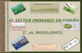 El sector primario en España