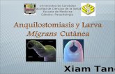 Anquilostomiasis y Larva Migrans Cutánea