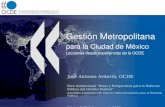 Gestión Metropolitana para la Ciudad de México