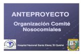 2005 Anteproyecto Organizaci³n Comit© Nosocomiales