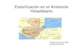 2006 Esterilización en el ambiente hospitalario