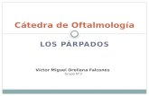 Oftalmología: PÁRPADOS