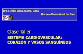 Histologia del sistema Cardiovasculat clase teller Universidad del sinu