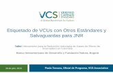 Etiquetado de Proyectos y Salvaguardas Taller VCS - PaulaTassara