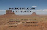 Diapositivas de microbiologia suelo