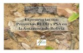Experiencia con proyectos REDD y PSA en la Amazonía Boliviana