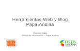 Papa Andina en la Web 2.0