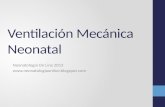 Módulo 3. ventilación mecánica neonatal