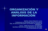 Organizacion y analisis de la informacion