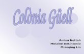 Colonia guell (amina, melaine, miaoqing)