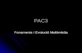 PAC 3  Fonaments i evolució multimèdia