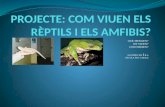 Com viuen els rèptils i els amfibis?
