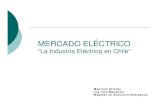 Presentación taller. “el sistema eléctrico en chile” ecosistemas   ppee