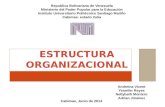 Estructura organizacion adrian (1)