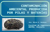 Eco Charla 3 de PuntoVerdeTandil- Contaminación por pilas y baterias - Mirta Barbosa- junio 2014