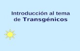 Introduccion transgenicos
