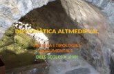 Diplomàtica altmedieval (s.X-s.XII) - Context i Tipologies documentals