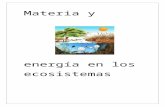 Tema 12 ans materia y energía en los ecosistemas