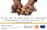 El rol de la papa para la seguridad alimentaria y nutricional en la región andina