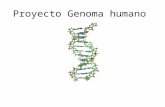 Proyecto Genoma Humano1
