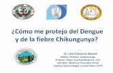 Exposición del Dr. Luis Echezuría en el Foro Epidemiología de la Fiebre del Chikungunya en Venezuela