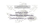 Biología 1º medio  biomoléculas orgánicas (carbohidratos y lípidos)