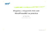 Blogaliza, WPMU na práctica, 23-6-2008