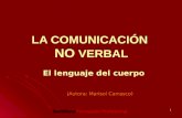 Comunic no verbal