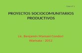 Proyectos sociocomunitarios productivos   1