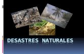Diapositivas de desastres naturales