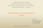 Presentacion sobre profesiones y ocupaciones en ingles (Reymar Brizuela)