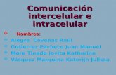 Comunicacion (fisiopatologia)