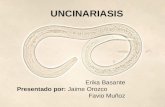 Uncinariasis: Necator americanus y Ancylostoma duodenale